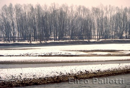 Gerali dell'Adda innevati