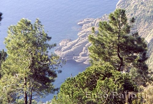 Cala di San Fruttuoso