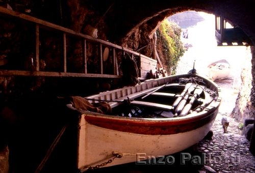 Barca a San Fruttuoso