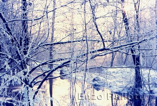 Controluce fra acqua e neve