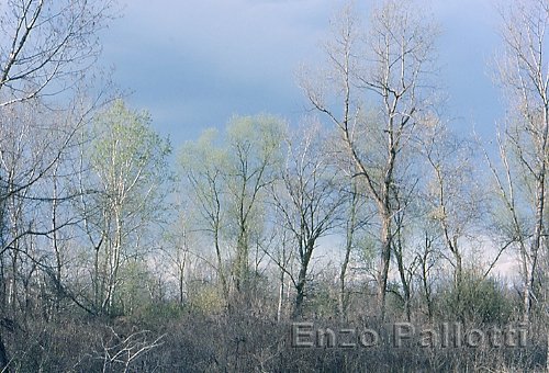 Temporale di primavera