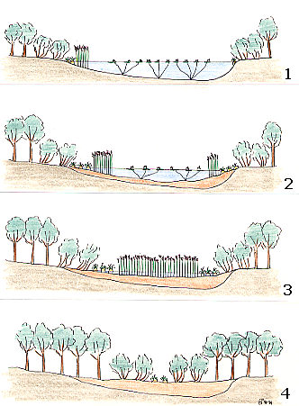 evoluzione della morta